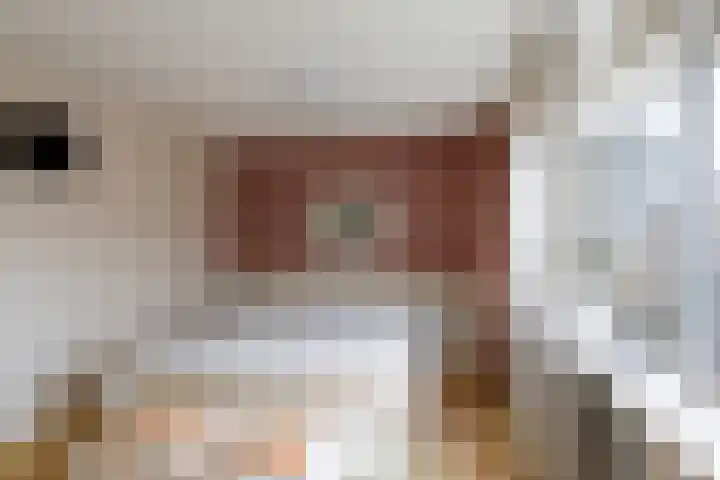 Kortenaerstraat 49 Maasdijk thumbnail 29