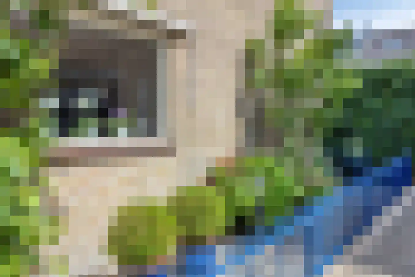 Kortenaerstraat 49 Maasdijk thumbnail 31