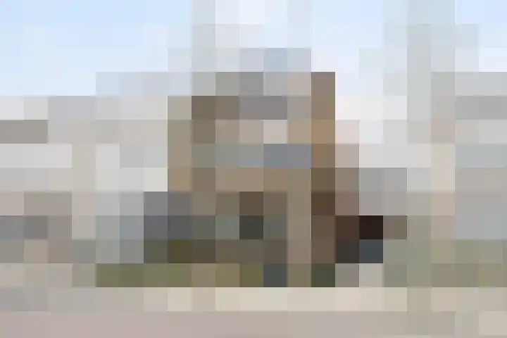 Kortenaerstraat 49 Maasdijk thumbnail 4