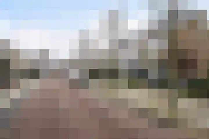 Kortenaerstraat 49 Maasdijk thumbnail 42