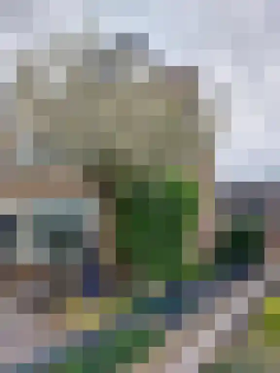 Kortenaerstraat 49 Maasdijk thumbnail 5