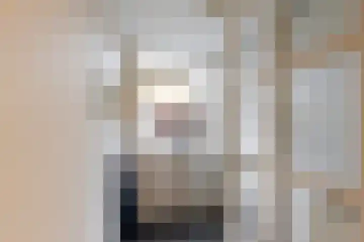 Kortenaerstraat 49 Maasdijk thumbnail 6