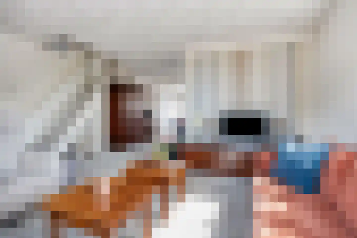 Kortenaerstraat 49 Maasdijk thumbnail 8