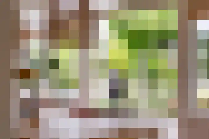 Kortenaerstraat 55 Twello thumbnail 24