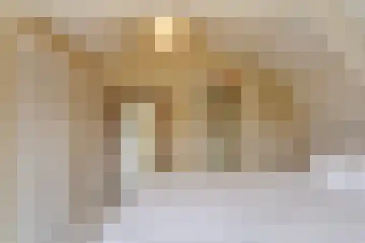Kortenaerstraat 55 Twello thumbnail 30