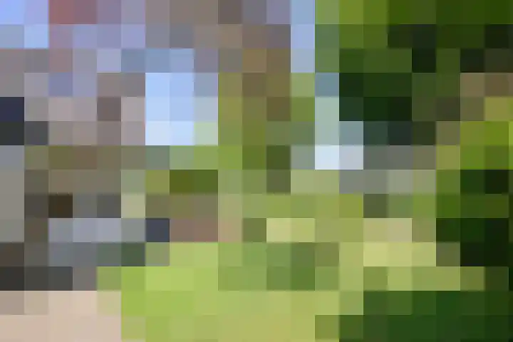 Kortenaerstraat 55 Twello thumbnail 36