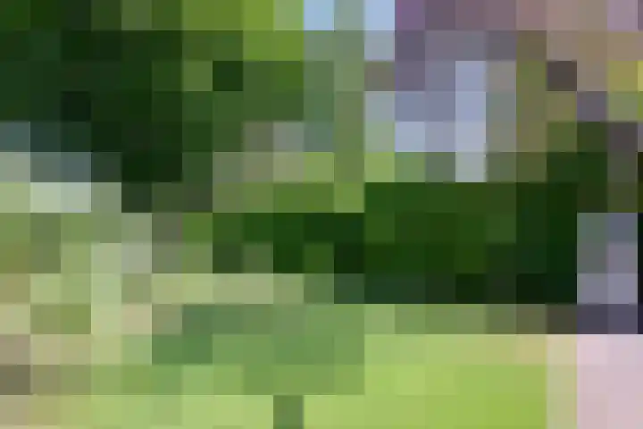 Kortenaerstraat 55 Twello thumbnail 37
