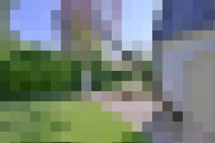 Kortenaerstraat 55 Twello thumbnail 38