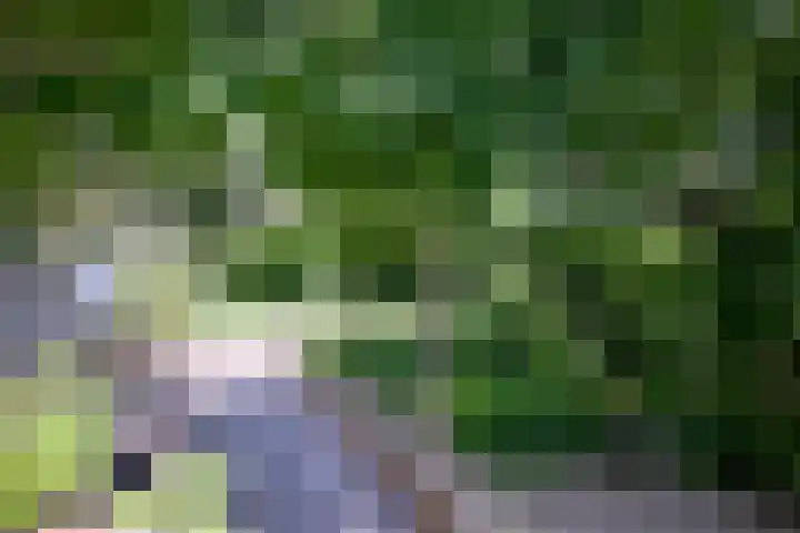 Kortenaerstraat 55 Twello thumbnail 43