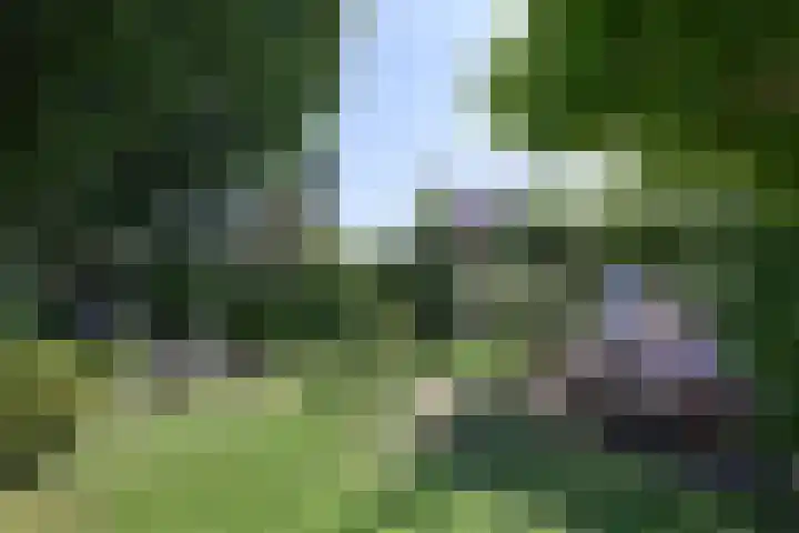 Kortenaerstraat 55 Twello thumbnail 47