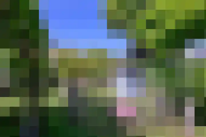 Kortenaerstraat 55 Twello thumbnail 48