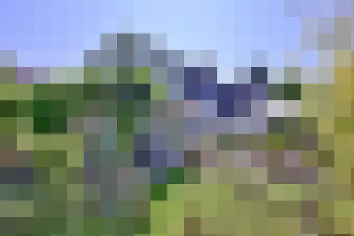 Kortenaerstraat 55 Twello thumbnail 6