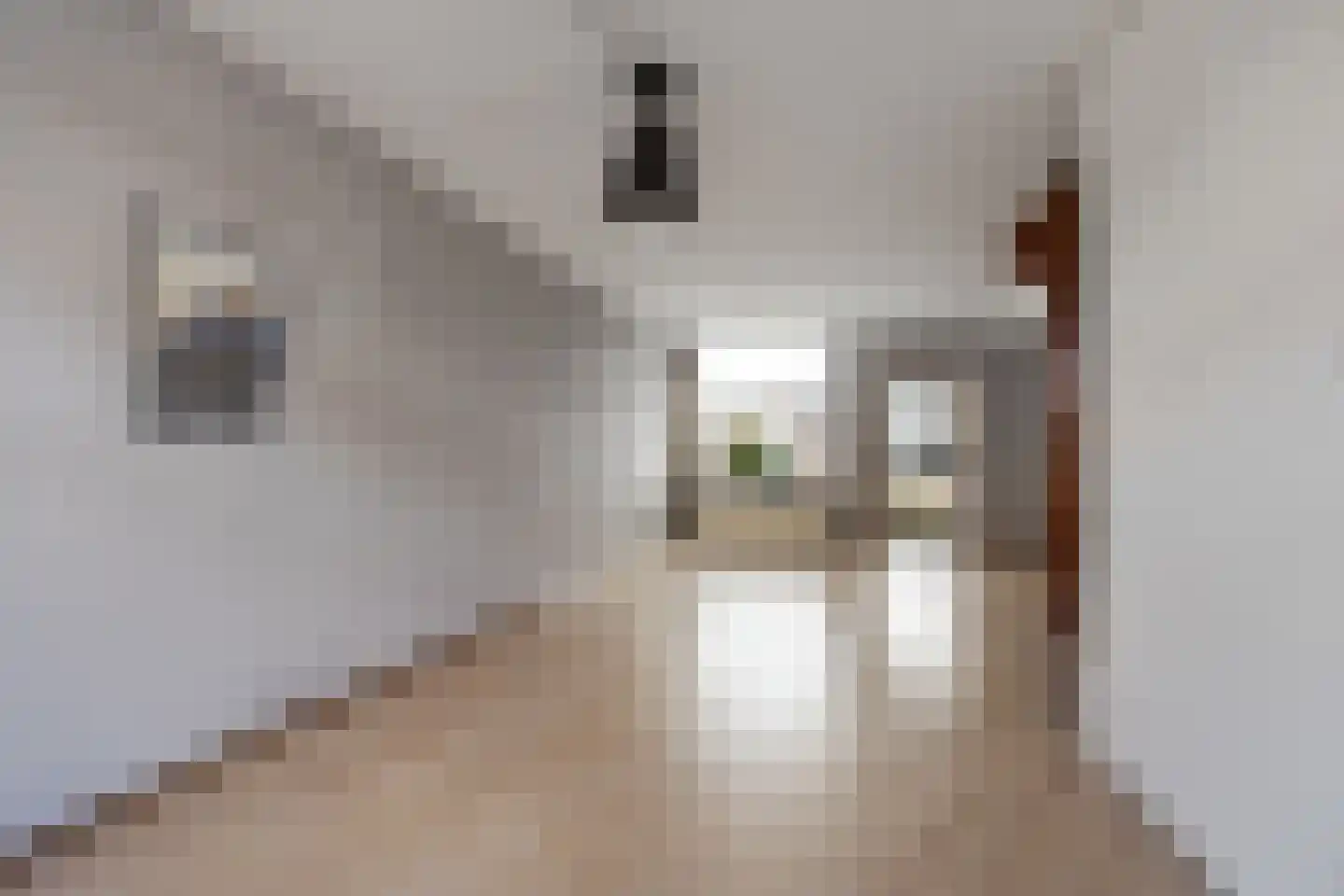 Kortenaerstraat 69 Leiden thumbnail 4