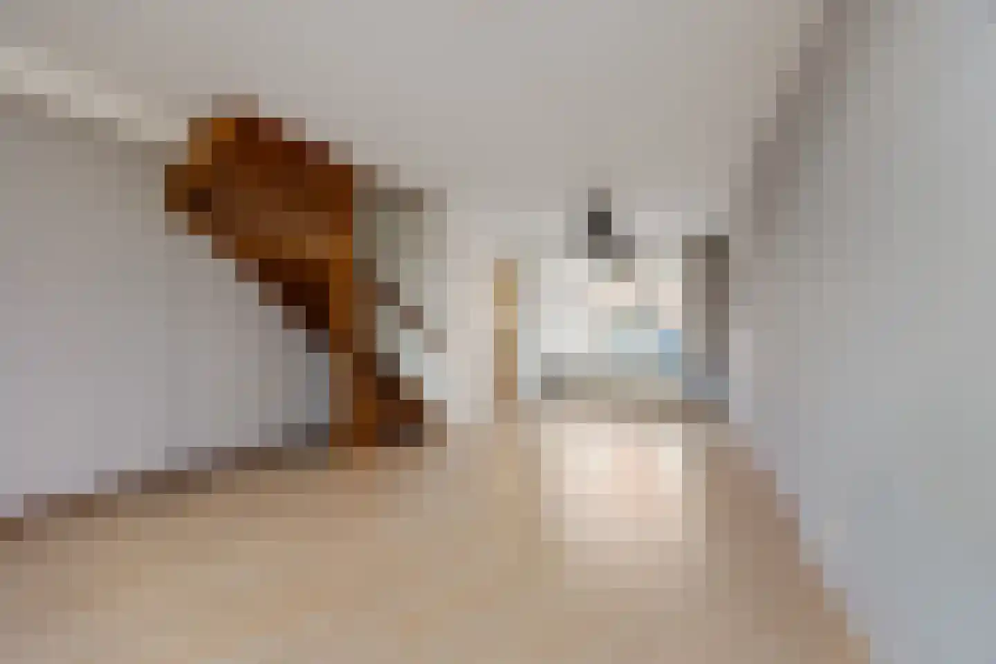 Kortenaerstraat 69 Leiden thumbnail 6