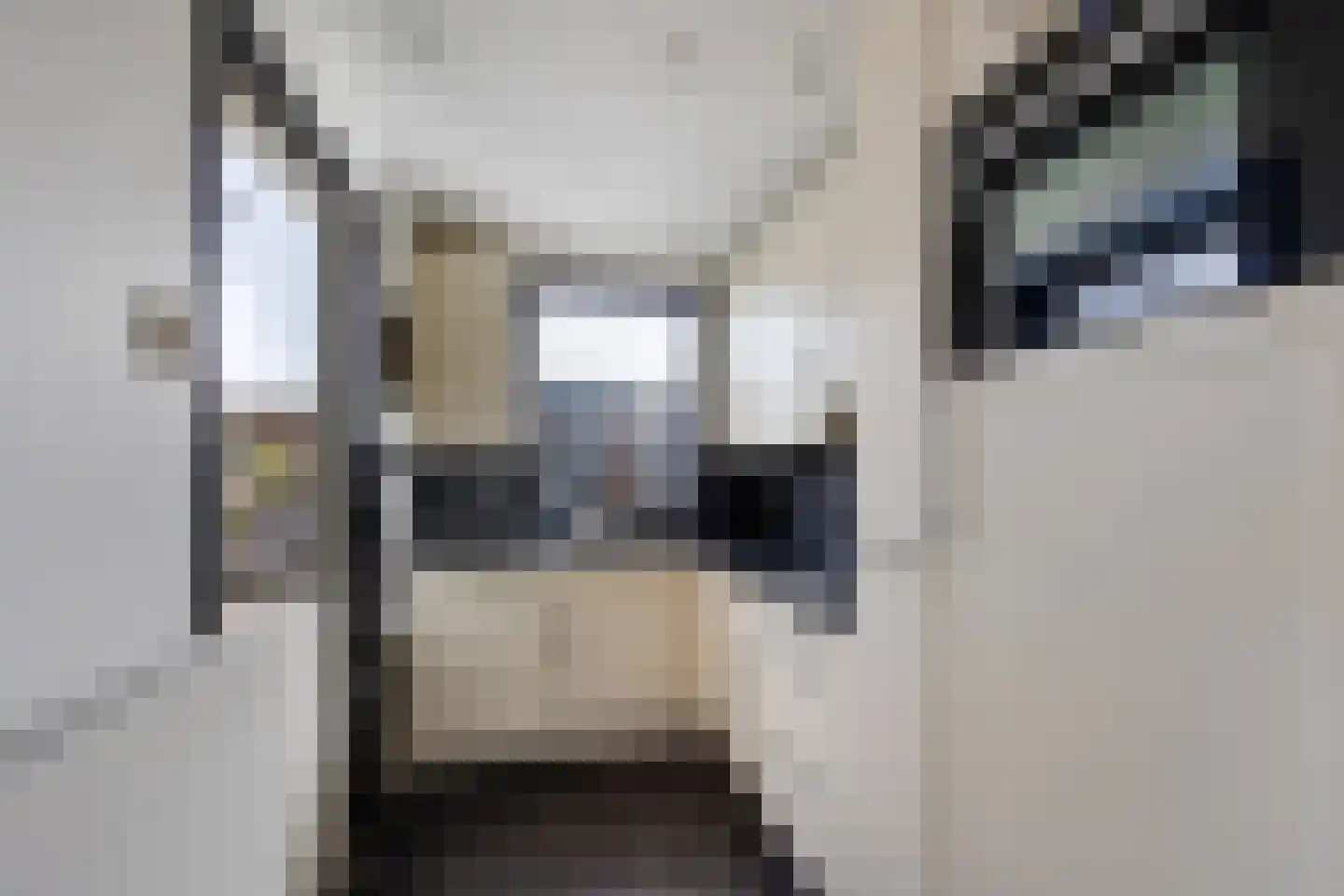 Kortenaerstraat 69 Leiden thumbnail 8