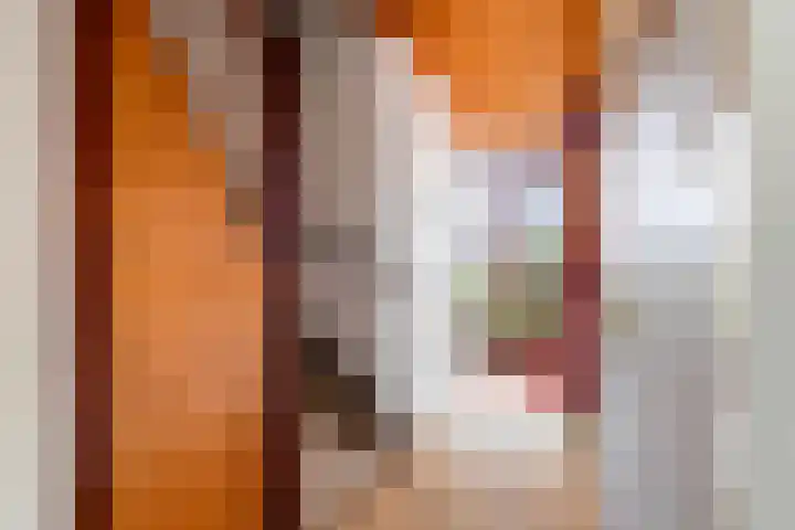 Kortenaerstraat 7 Maasdijk thumbnail 10