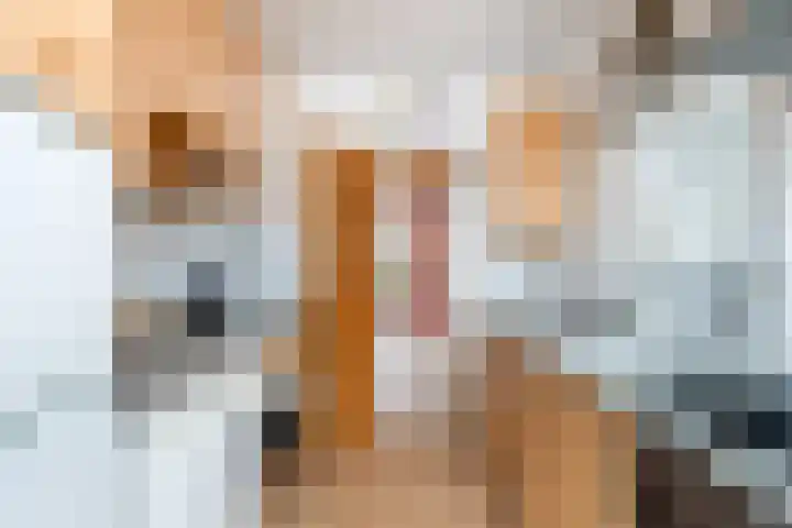 Kortenaerstraat 7 Maasdijk thumbnail 16