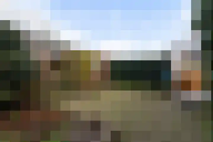 Kortenaerstraat 7 Maasdijk thumbnail 19