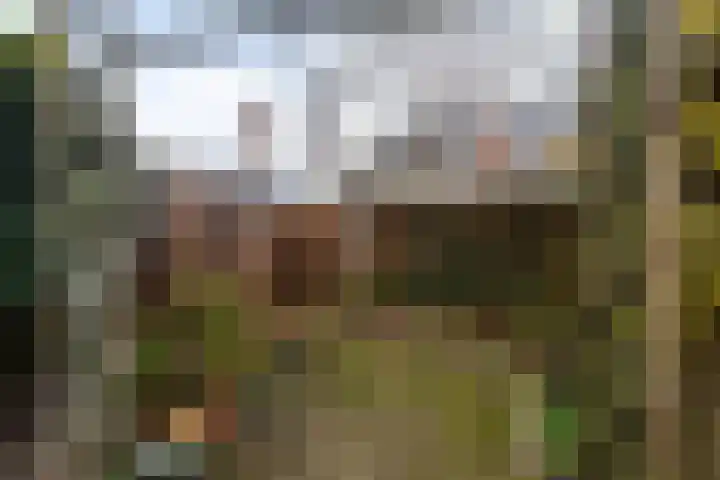 Kortenaerstraat 7 Maasdijk thumbnail 20