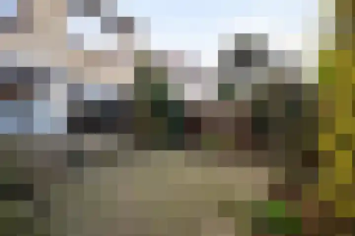 Kortenaerstraat 7 Maasdijk thumbnail 21