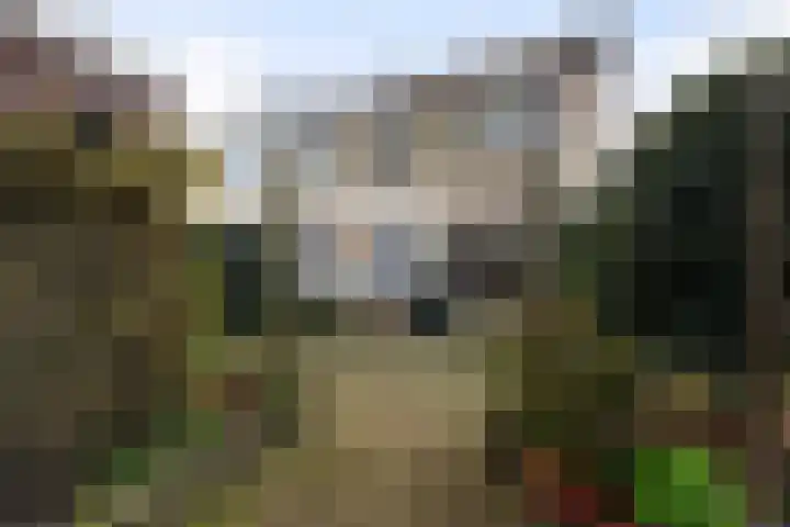 Kortenaerstraat 7 Maasdijk thumbnail 22