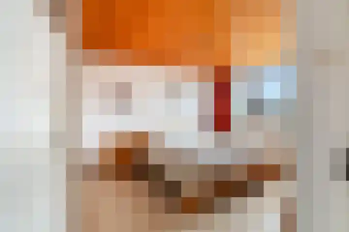 Kortenaerstraat 7 Maasdijk thumbnail 23
