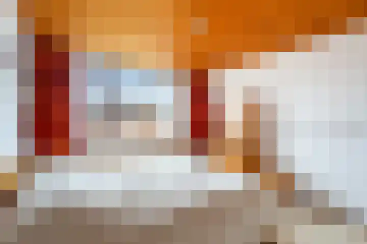 Kortenaerstraat 7 Maasdijk thumbnail 24