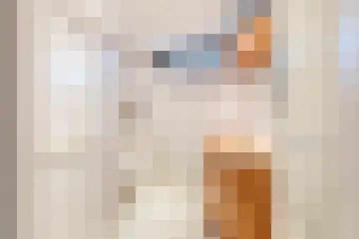 Kortenaerstraat 7 Maasdijk thumbnail 30