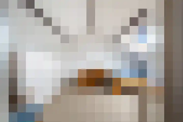 Kortenaerstraat 7 Maasdijk thumbnail 33