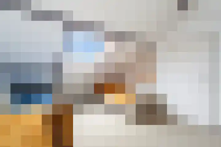 Kortenaerstraat 7 Maasdijk thumbnail 34