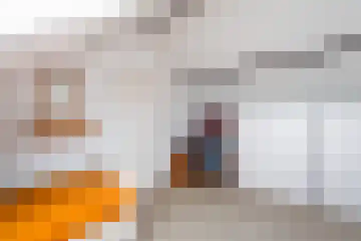 Kortenaerstraat 7 Maasdijk thumbnail 35