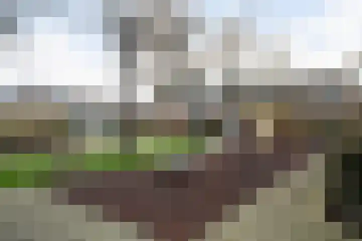 Kortenaerstraat 7 Maasdijk thumbnail 37