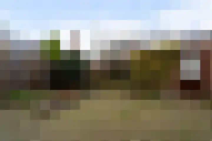 Kortenaerstraat 7 Maasdijk thumbnail 6