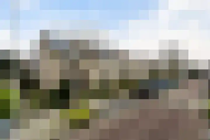 Kortenaerstraat 7 Maasdijk thumbnail 7