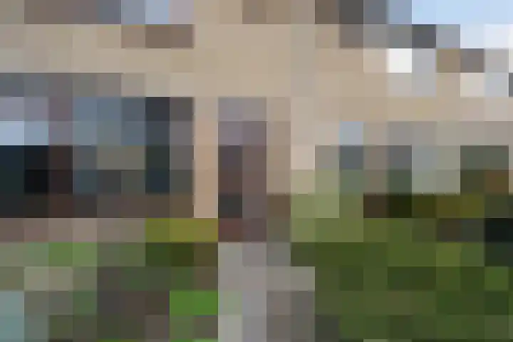 Kortenaerstraat 7 Maasdijk thumbnail 8