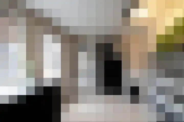Kortenaerstraat 8 Hengelo thumbnail 12