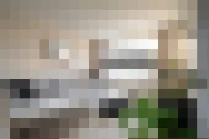 Kortenaerstraat 8 Hengelo thumbnail 8
