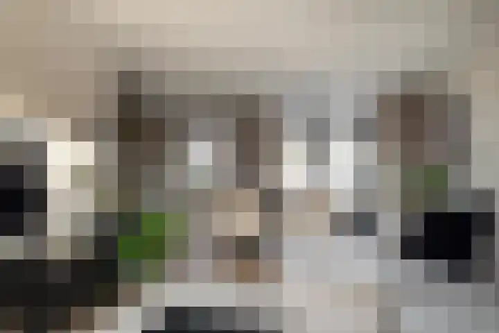 Kortenaerstraat 8 Hengelo thumbnail 9
