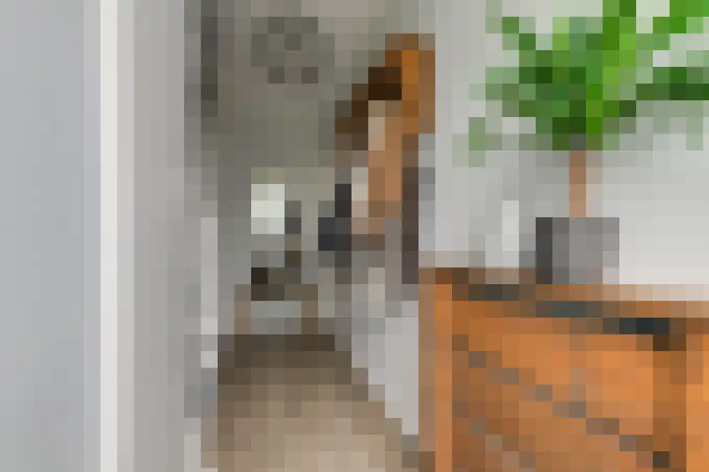 Kortenaerstraat 9 Maasdijk thumbnail 10
