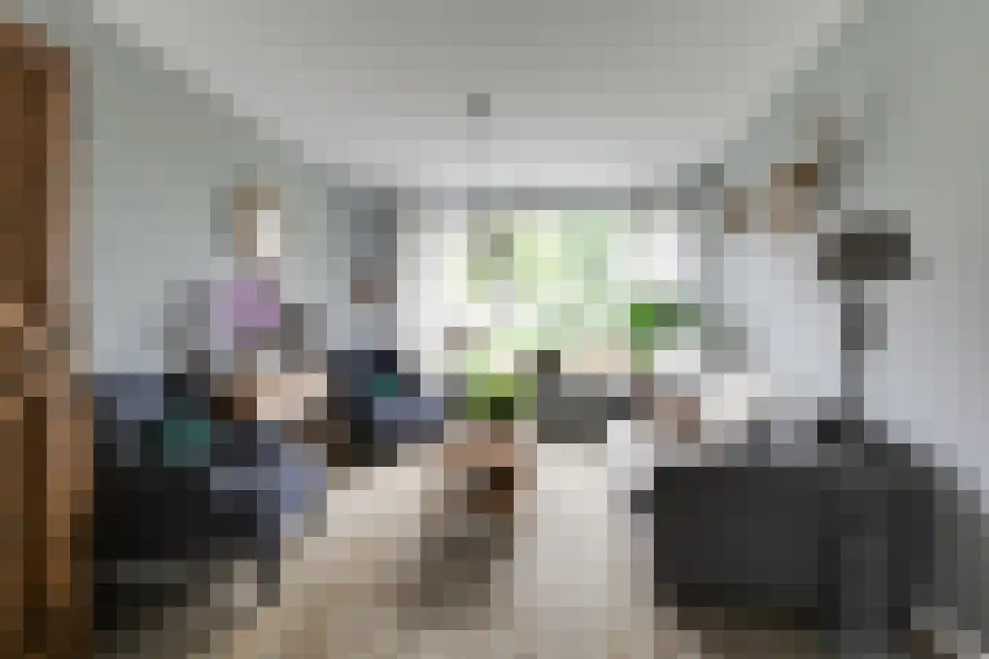 Kortenaerstraat 9 Maasdijk thumbnail 12