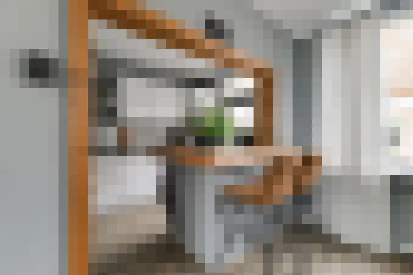 Kortenaerstraat 9 Maasdijk thumbnail 15