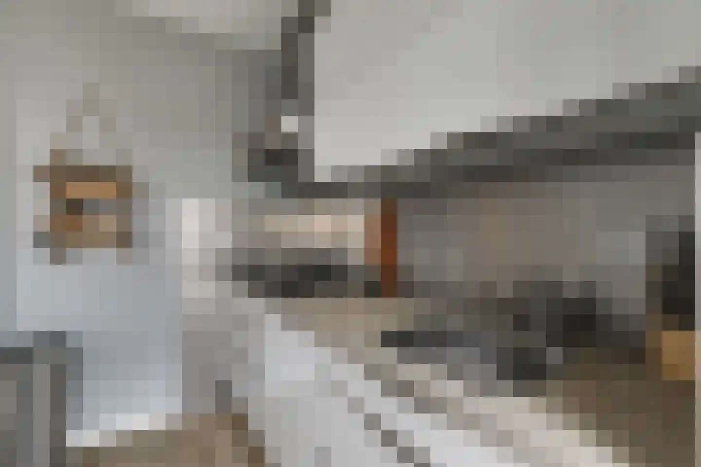Kortenaerstraat 9 Maasdijk thumbnail 17