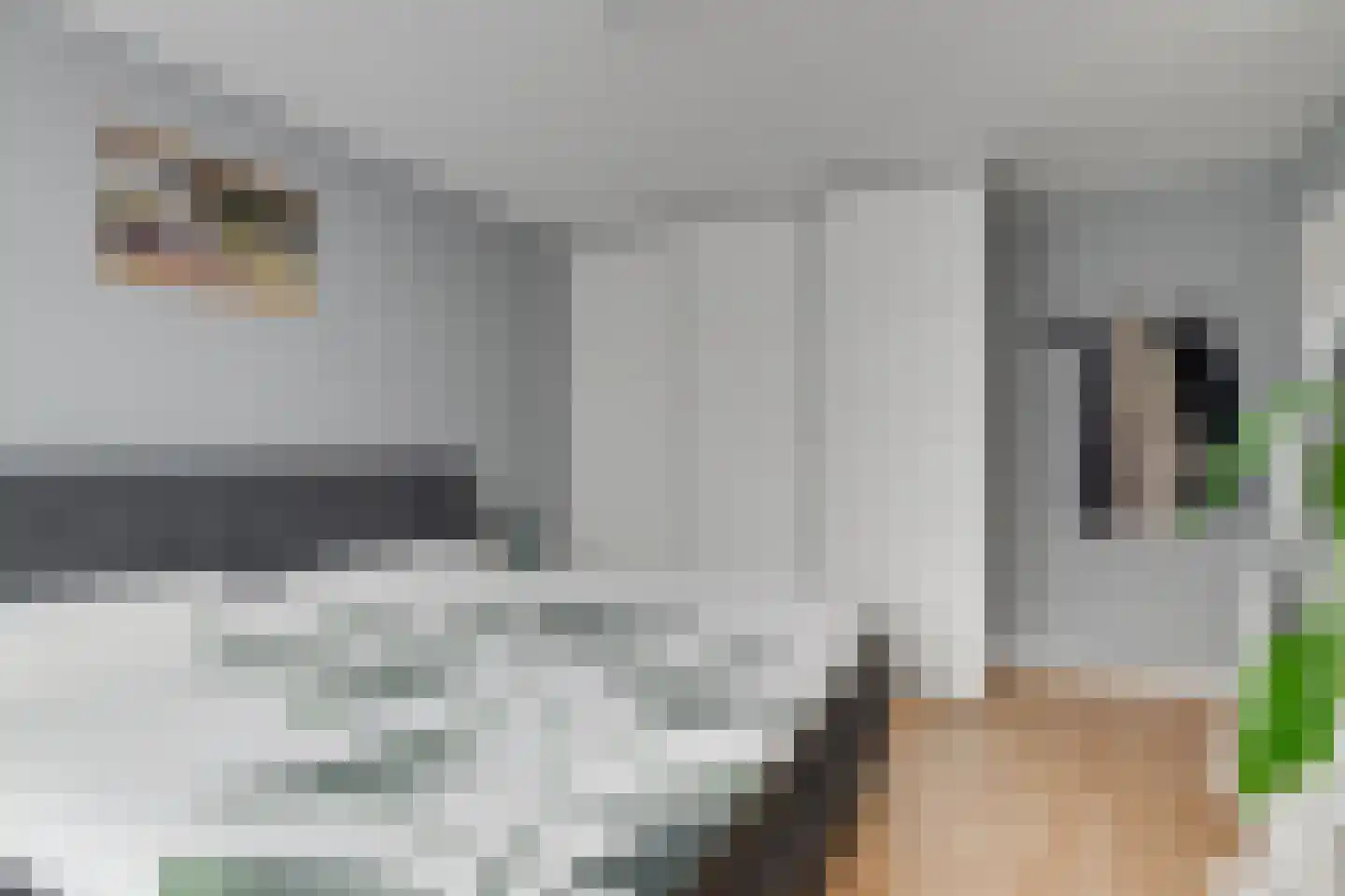 Kortenaerstraat 9 Maasdijk thumbnail 21