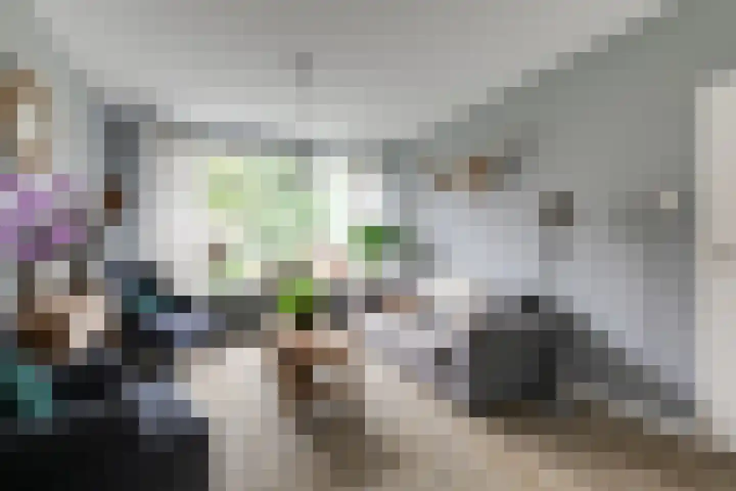 Kortenaerstraat 9 Maasdijk thumbnail 4