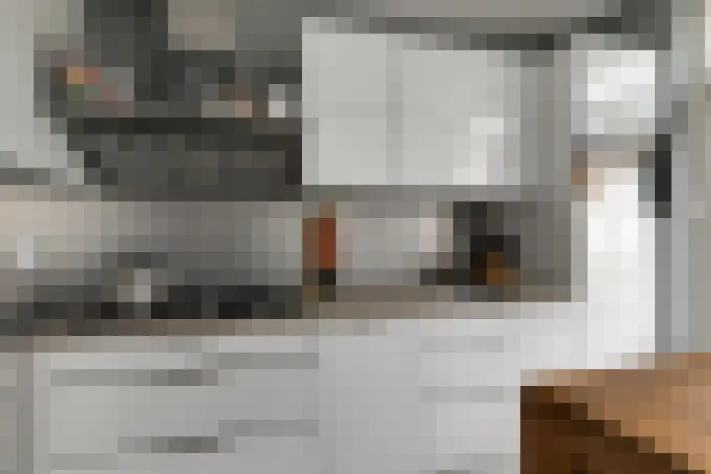 Kortenaerstraat 9 Maasdijk thumbnail 6