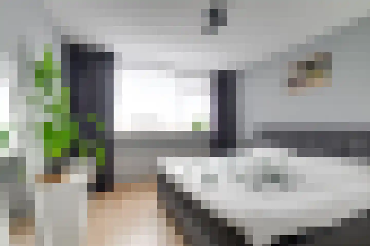 Kortenaerstraat 9 Maasdijk thumbnail 7