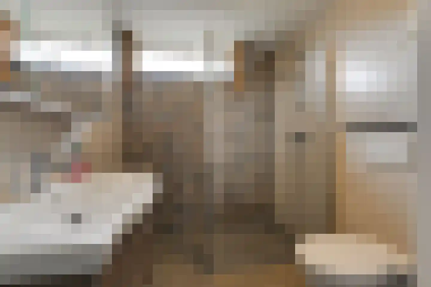 Kortenaerstraat 9 Maasdijk thumbnail 8