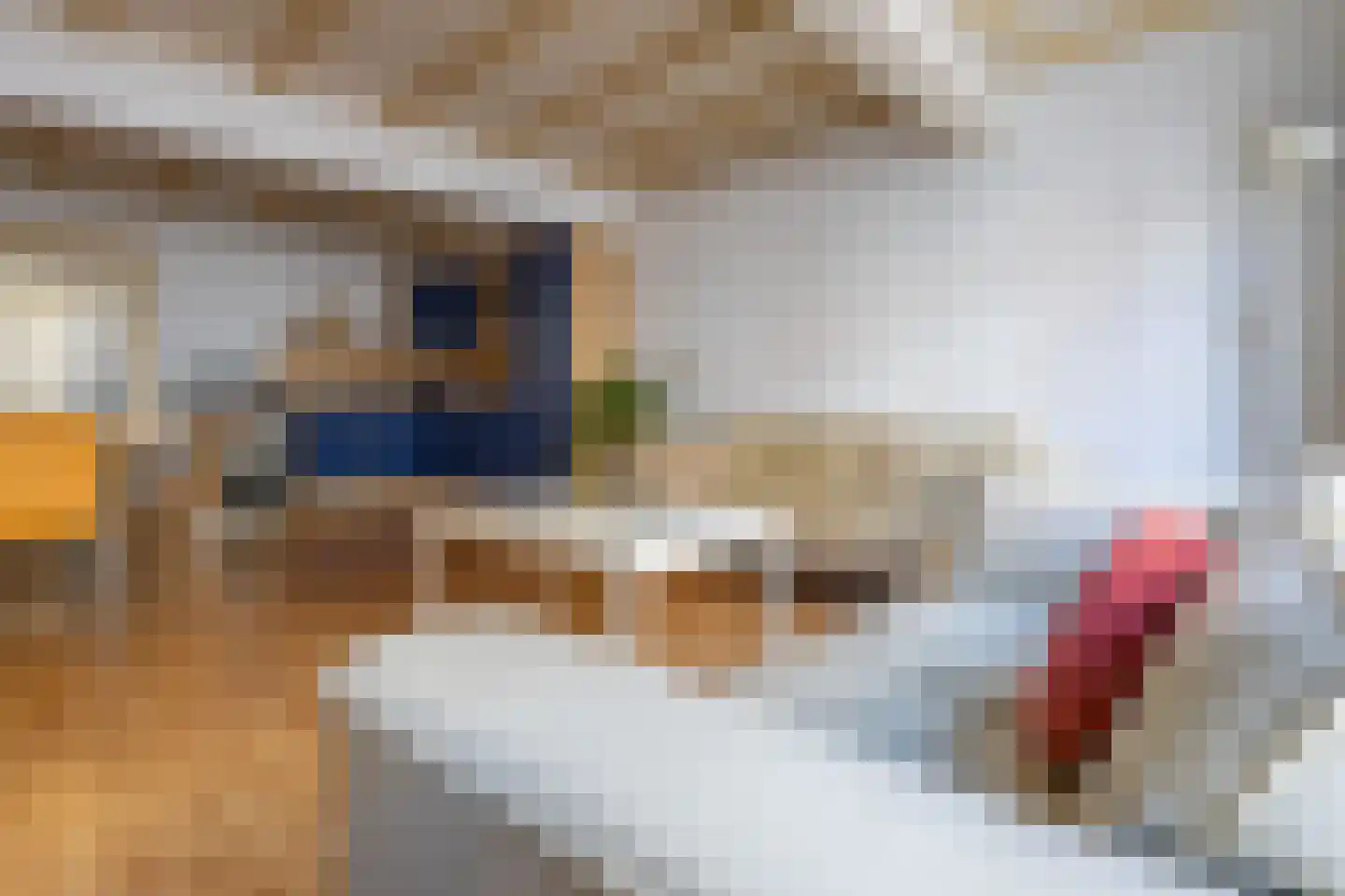 Kortendijk 66 a Gorinchem thumbnail 8