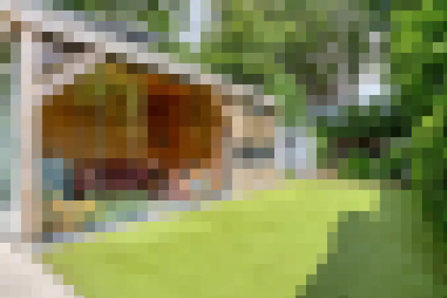Kortendijksestraat 3 Roosendaal thumbnail 31