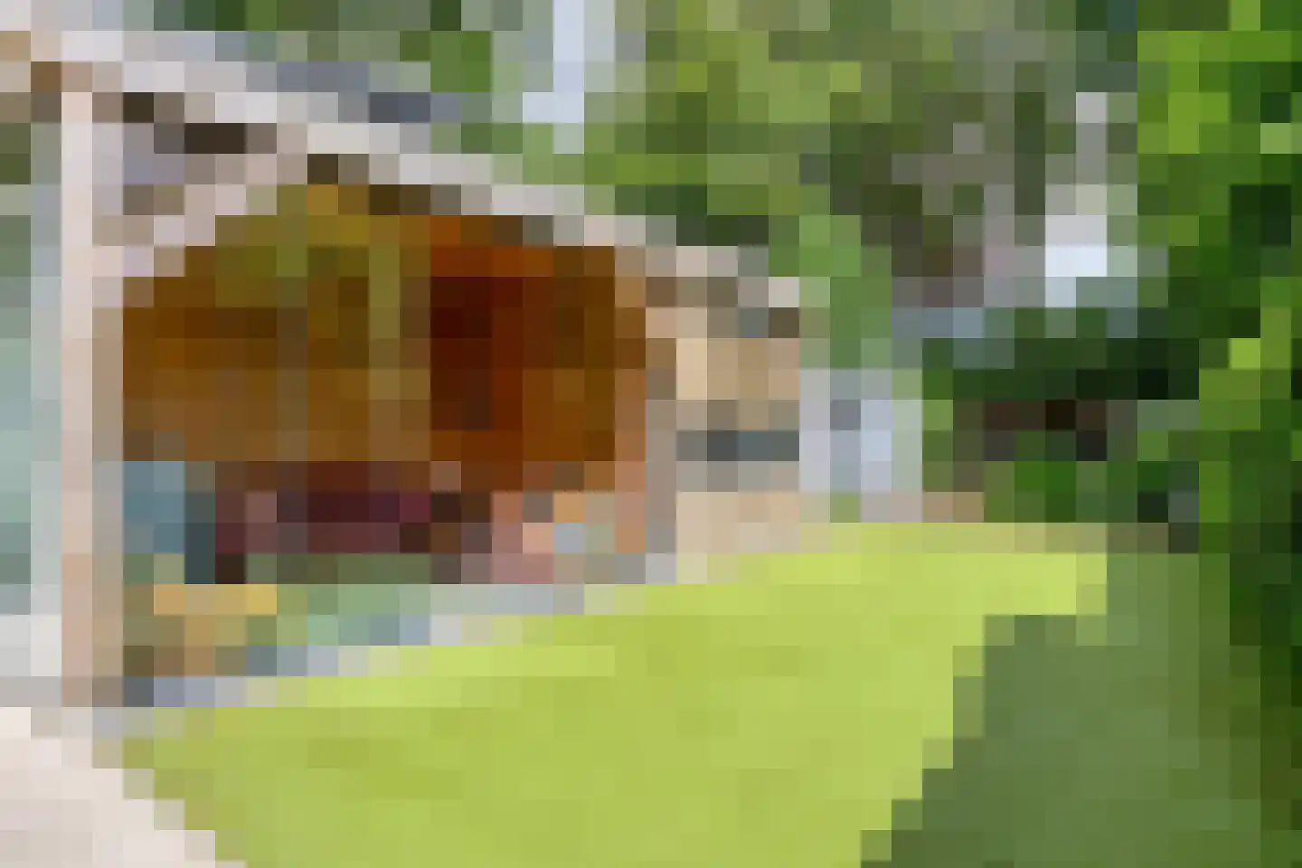 Kortendijksestraat 3 Roosendaal thumbnail 4